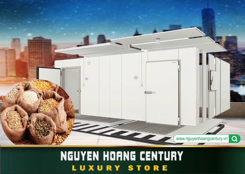 Kho mát bảo quản hạt nông sản