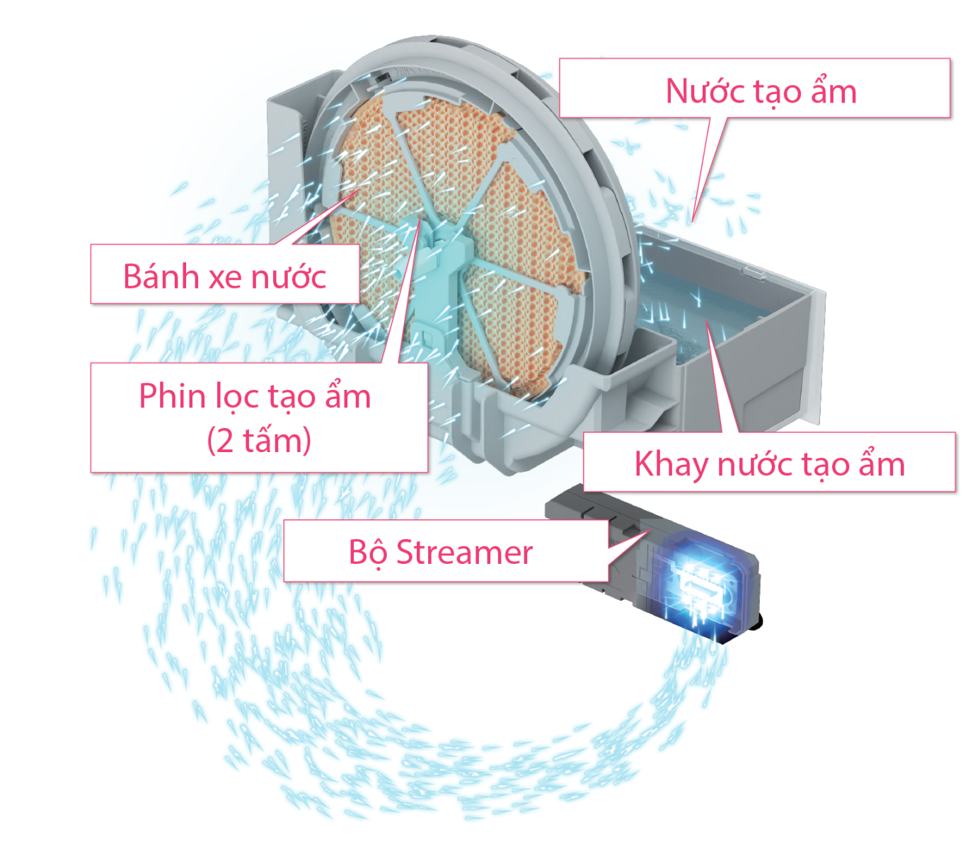 Máy lọc không khí tạo ẩm cao cấp MCK55TVM6
